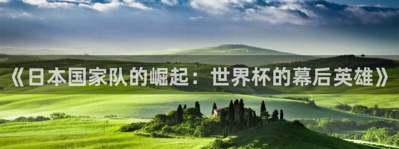 世界杯附加赛赛程表：《日本国家队的崛起：世界杯的幕后英雄》