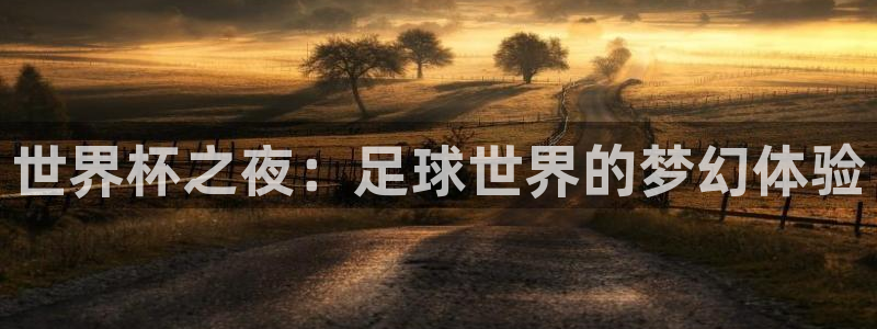 世界杯在线直播入口:世界杯之夜:足球世界的梦幻体验