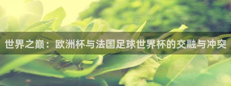 足球杯：世界之巅：欧洲杯与法国足球世界杯的交融与冲突