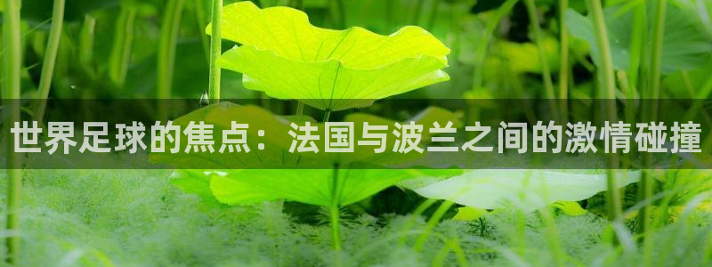 世界杯对阵图2026：世界足球的焦点：法国与波兰之间的激情碰撞