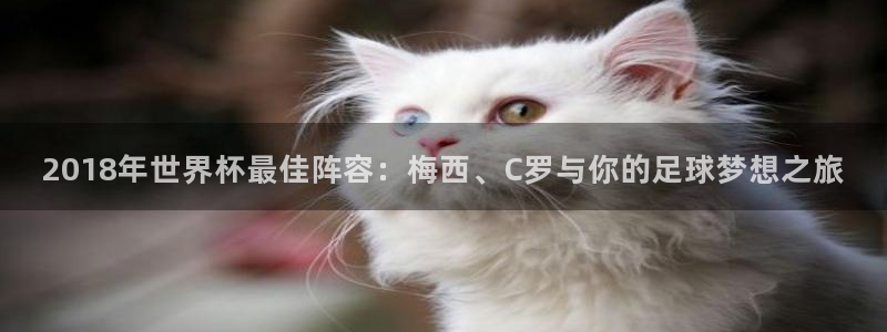 女足世界杯赛程：2018年世界杯最佳阵容：梅西、C罗与你的足球梦想之旅