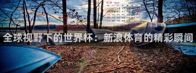 世界杯亚洲预选赛18强赛程:全球视野下的世界杯:新浪体育的精彩瞬间