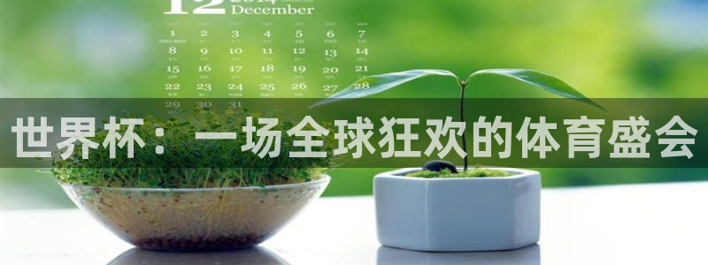 世界杯附加赛赛程表：世界杯：一场全球狂欢的体育盛会
