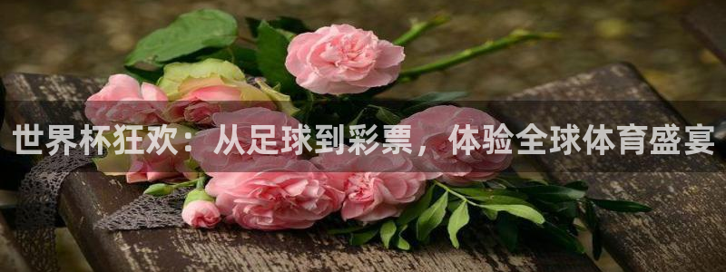 今年的世界杯:世界杯狂欢:从足球到彩票,体验全球体育盛宴