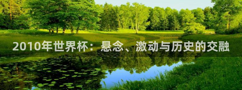 2026世亚预赛赛程表：2010年世界杯：悬念、激动与历史的交融