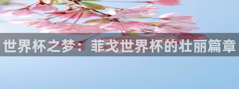 足球比分直播世界杯：世界杯之梦：菲戈世界杯的壮丽篇章