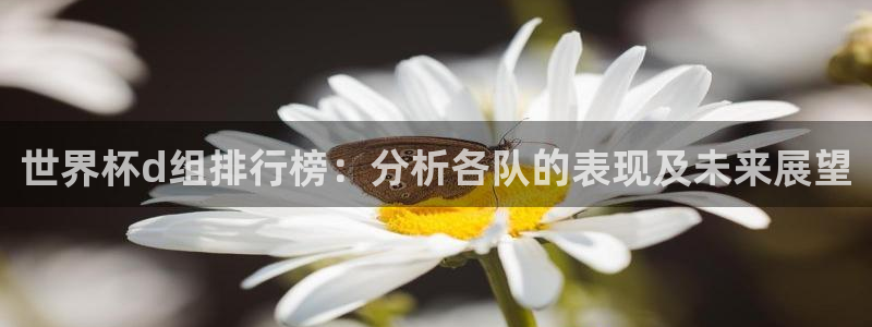 英格兰联赛杯直播：世界杯d组排行榜：分析各队的表现及未来展望
