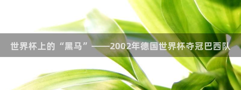2026世界杯赛程时间表最新：世界杯上的“黑马”——2002年德国世界杯夺冠巴西队