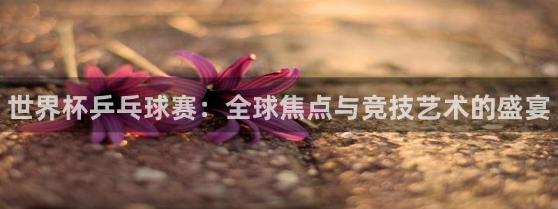 世界杯欧洲预选赛：世界杯乒乓球赛：全球焦点与竞技艺术的盛宴