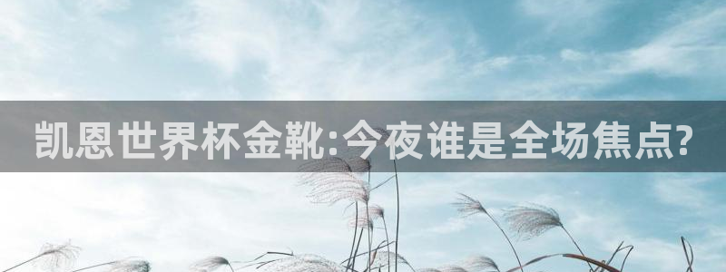 世界直播：凯恩世界杯金靴:今夜谁是全场焦点?