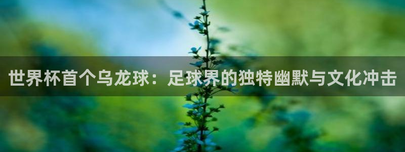 世界杯直播观看：世界杯首个乌龙球：足球界的独特幽默与文化冲击
